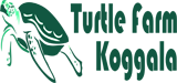 Koggala Sea Turtle Farm